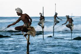 detoate - images-17.jpg